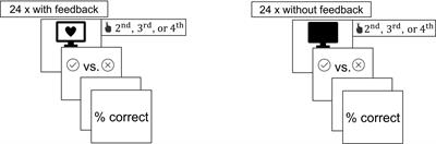 The Effects of a 3-Week Heartbeat Perception Training on Interoceptive Abilities